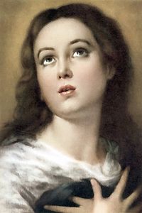 La Inmaculada Concepci�n
