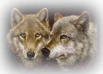 lobos