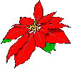 poinsetia.gif (1839 bytes)