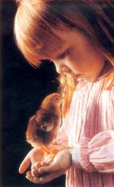 sialavida.jpg (14989 bytes)