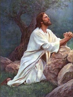 Jesús en el Huerto de los Olivos Jesús en el Huerto de los Olivos