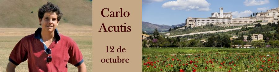 San Carlo Acutis San Carlo Acutis